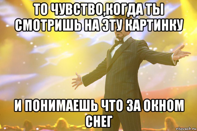 то чувство,когда ты смотришь на эту картинку и понимаешь что за окном снег, Мем Тони Старк (Роберт Дауни младший)