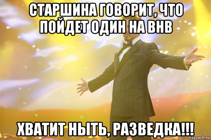 Старшина говорит, что пойдет один на BHB Хватит ныть, разведка!!!, Мем Тони Старк (Роберт Дауни младший)