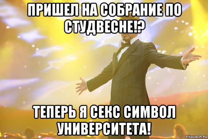 Пришел на собрание по студвесне!? Теперь я секс символ университета!, Мем Тони Старк (Роберт Дауни младший)