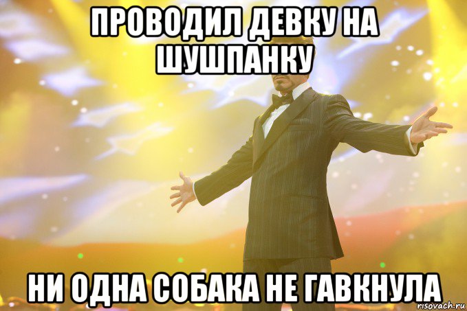 проводил девку на шушпанку ни одна собака не гавкнула, Мем Тони Старк (Роберт Дауни младший)