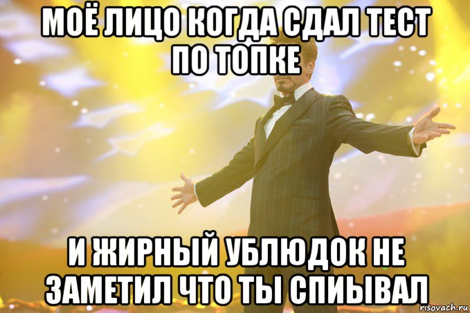 Моё лицо когда сдал тест по топке и жирный ублюдок не заметил что ты спиывал, Мем Тони Старк (Роберт Дауни младший)