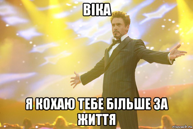 Віка Я кохаю тебе більше за життя, Мем Тони Старк (Роберт Дауни младший)