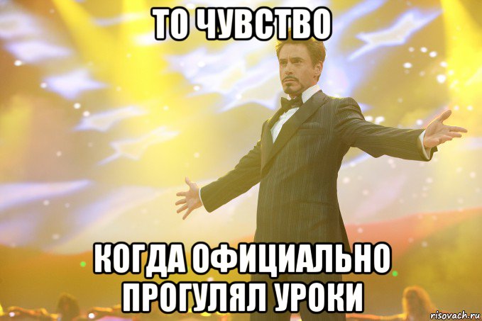 то чувство когда официально прогулял уроки, Мем Тони Старк (Роберт Дауни младший)