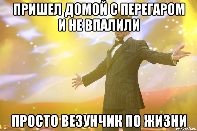 Пришел домой с перегаром и не впалили Просто везунчик по жизни, Мем Тони Старк (Роберт Дауни младший)