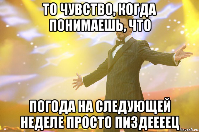 то чувство, когда понимаешь, что погода на следующей неделе просто пиздеееец, Мем Тони Старк (Роберт Дауни младший)