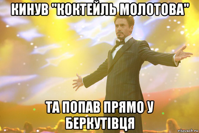 Кинув "Коктейль Молотова" та попав прямо у беркутівця, Мем Тони Старк (Роберт Дауни младший)