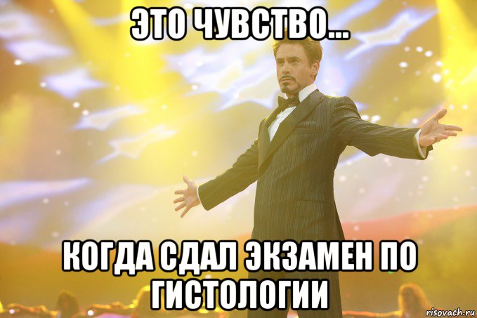 это чувство... когда сдал экзамен по гистологии, Мем Тони Старк (Роберт Дауни младший)