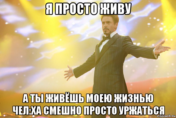 Я просто живу А ты живёшь моею жизнью Чел:Ха смешно просто уржаться, Мем Тони Старк (Роберт Дауни младший)