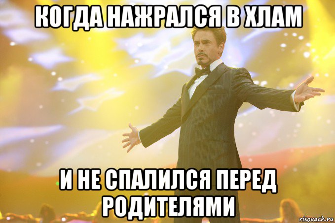 Когда нажрался в хлам И не спалился перед родителями, Мем Тони Старк (Роберт Дауни младший)