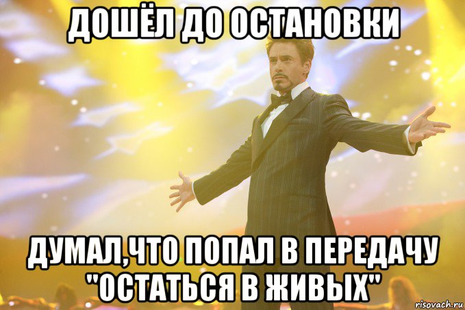 дошёл до остановки думал,что попал в передачу "Остаться в живых", Мем Тони Старк (Роберт Дауни младший)