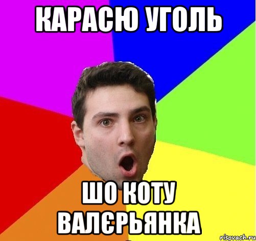 Карасю уголь Шо коту валєрьянка