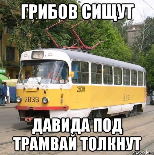 Грибов сищут давида под трамвай толкнут