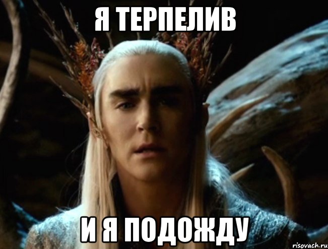 Я ТЕРПЕЛИВ И Я ПОДОЖДУ, Мем Трандуил