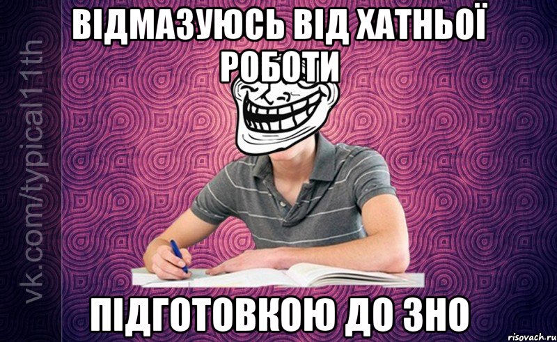 Відмазуюсь від хатньої роботи Підготовкою до ЗНО