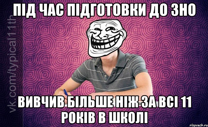 Під час підготовки до ЗНО Вивчив більше ніж за всі 11 років в школі