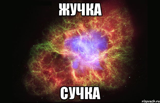 Жучка Сучка, Мем Туманность