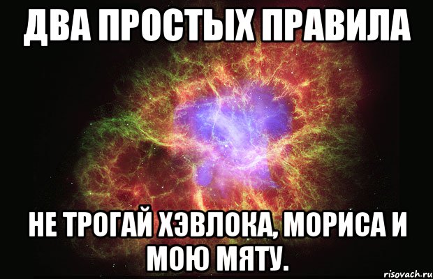 Два простых правила Не трогай Хэвлока, Мориса и мою мяту., Мем Туманность