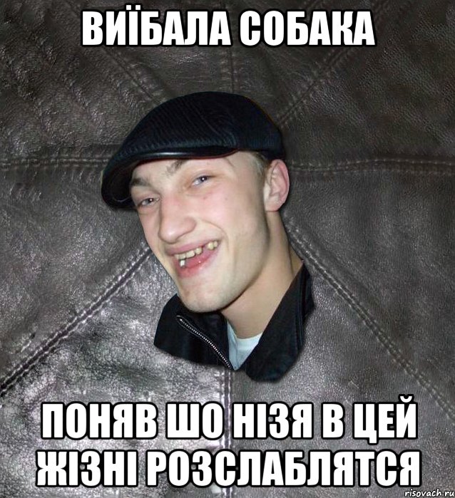 Виїбала собака Поняв шо нізя в цей жізні розслаблятся, Мем Тут Апасна