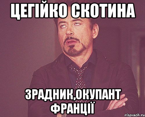 Цегійко Скотина Зрадник,Окупант Франції, Мем твое выражение лица