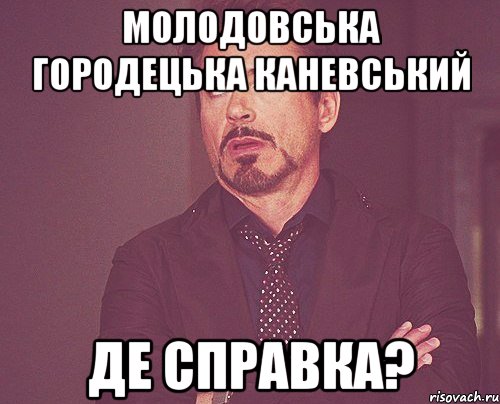 Молодовська Городецька Каневський де справка?, Мем твое выражение лица