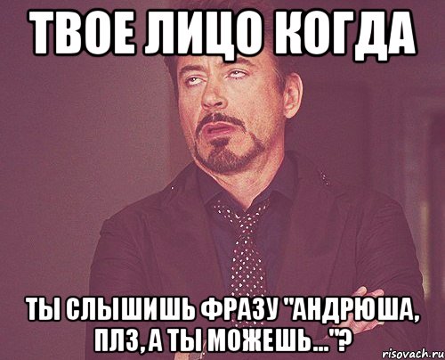 Твое лицо когда ты слышишь фразу "Андрюша, плз, а ты можешь..."?, Мем твое выражение лица