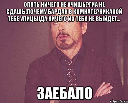 опять ничего не учишь?ГИА не сдашь!Почему бардак в комнате?Никакой тебе улицы!Да ничего из тебя не выйдет... ЗАЕБАЛО, Мем твое выражение лица