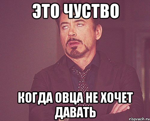 ЭТО ЧУСТВО КОГДА ОВЦА НЕ ХОЧЕТ ДАВАТЬ, Мем твое выражение лица