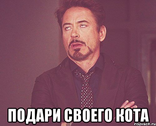  подари своего кота, Мем твое выражение лица