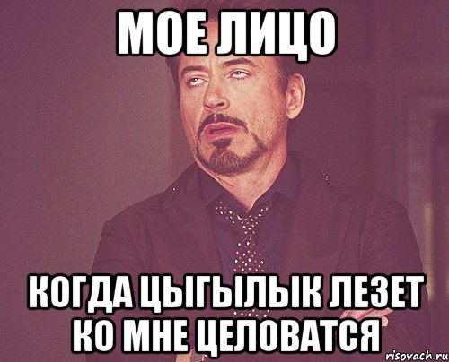 мое лицо когда цыгылык лезет ко мне целоватся, Мем твое выражение лица
