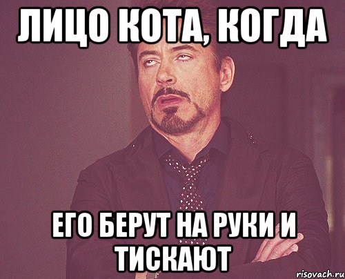лицо кота, когда его берут на руки и тискают, Мем твое выражение лица