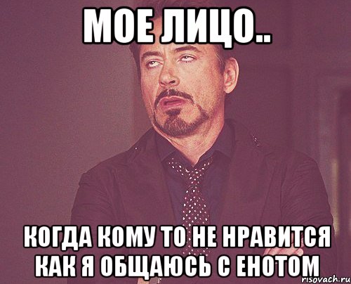 Мое лицо.. Когда кому то не нравится как я общаюсь с енотом, Мем твое выражение лица