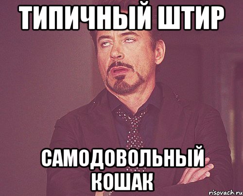 Типичный Штир Самодовольный кошак, Мем твое выражение лица