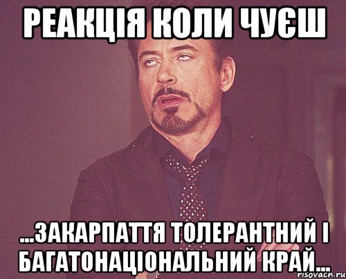 реакція коли чуєш ...ЗАКАРПАТТЯ ТОЛЕРАНТНИЙ І БАГАТОНАЦІОНАЛЬНИЙ КРАЙ..., Мем твое выражение лица