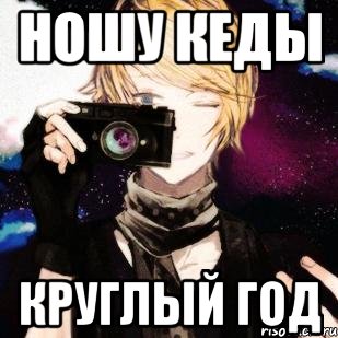 ношу кеды круглый год