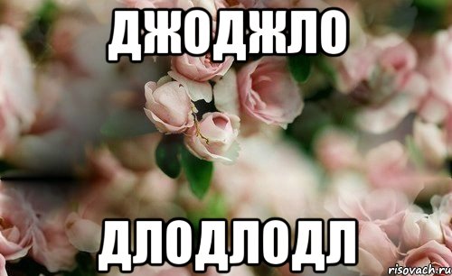 джоджло длодлодл