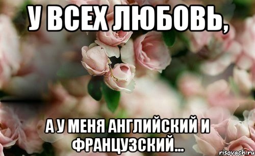 У всех любовь, а у меня английский и французский...