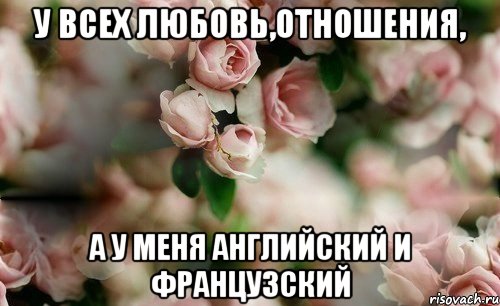 У всех любовь,отношения, а у меня английский и французский
