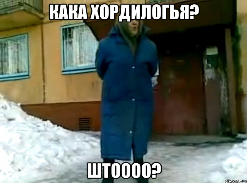 кака хордилогья? штоооо?