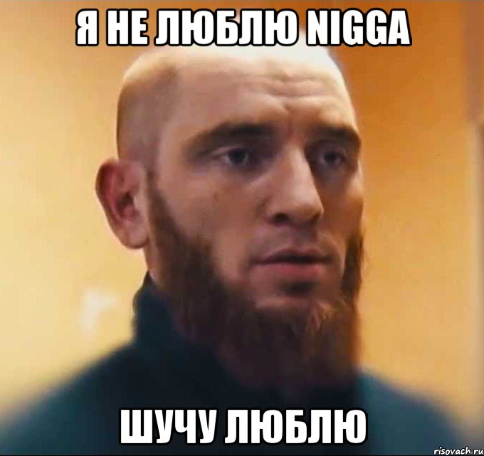 Я не люблю Nigga Шучу люблю, Мем Шутник