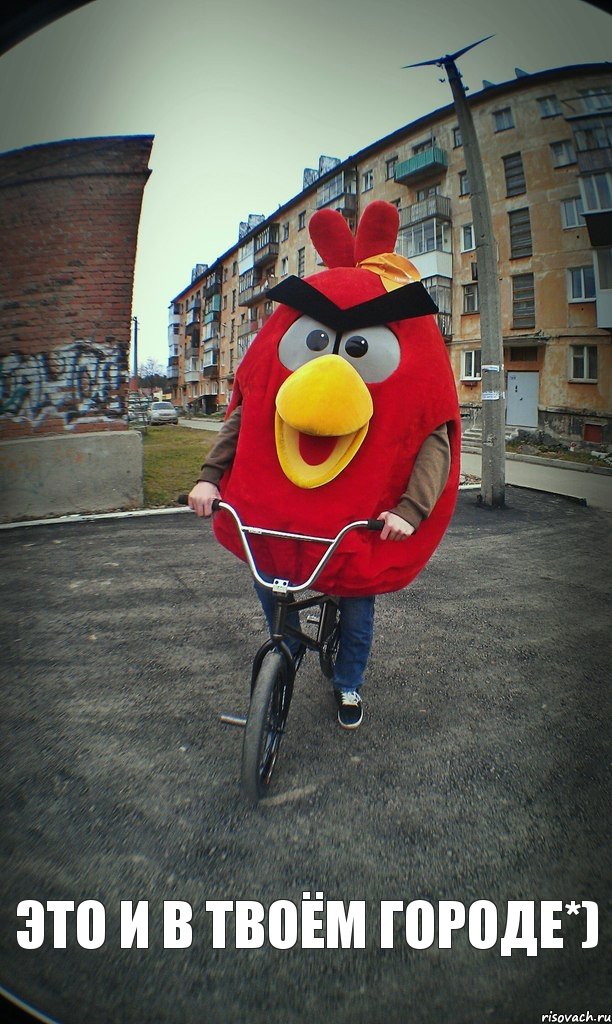  Это и в твоём городе*), Комикс  Angry bird на велике