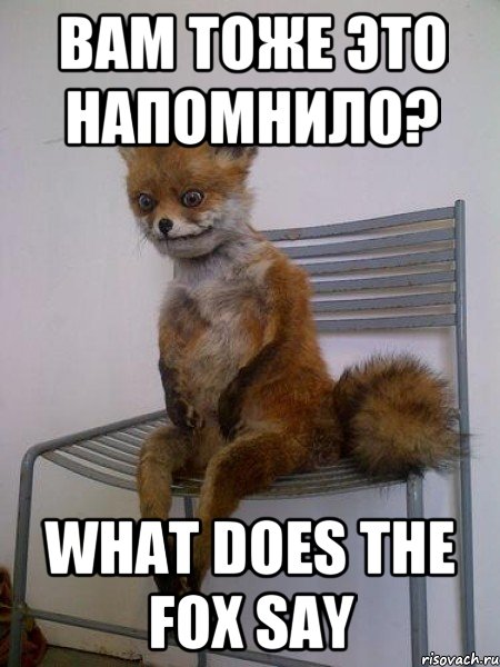 Вам тоже это напомнило? What does the fox say, Мем Упоротая лиса