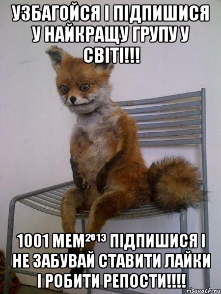 УЗБАГОЙСЯ І підпишися у найкращу групу у світі!!! 1001 Мем²º¹³ ПІДПИШИСЯ І НЕ ЗАБУВАЙ СТАВИТИ ЛАЙКИ І РОБИТИ РЕПОСТИ!!!!, Мем Упоротая лиса