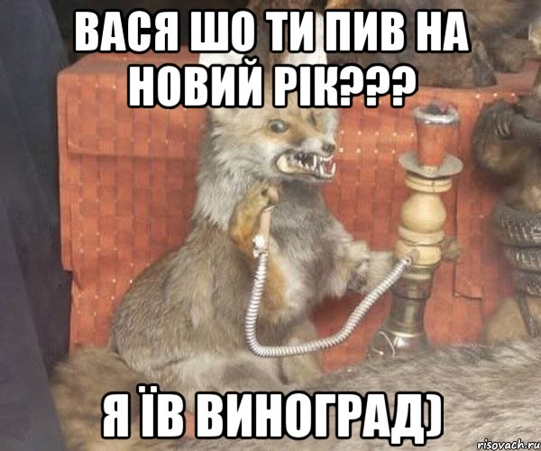 Вася шо ти пив на новий рік??? Я їв виноград)