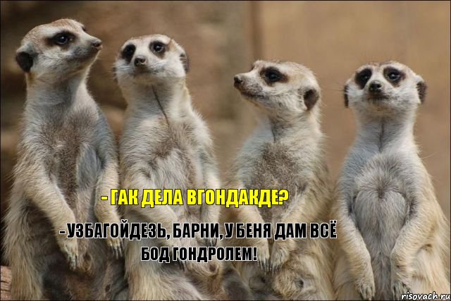 - гак дела вгондакде? - узбагойдезь, барни, у беня дам всё бод гондролем!, Комикс узб