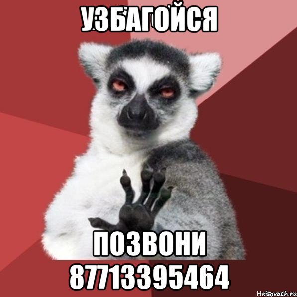 Узбагойся Позвони 87713395464, Мем Узбагойзя