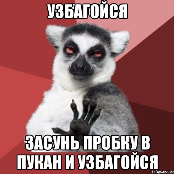 узбагойся засунь пробку в пукан и узбагойся, Мем Узбагойзя