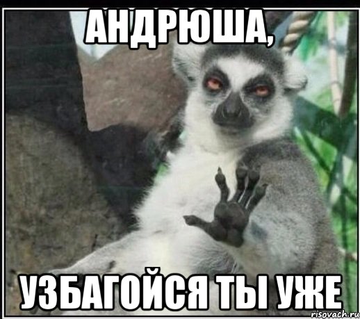 АНДРЮША, УЗБАГОЙСЯ ТЫ УЖЕ, Мем Все будет збагойно