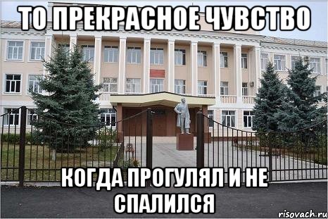 То прекрасное чувство когда прогулял и не спалился