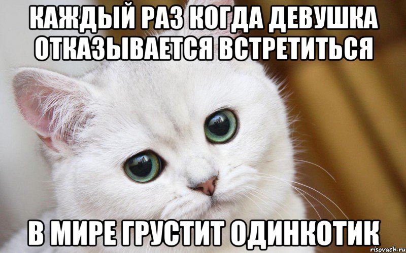 Каждый раз когда девушка отказывается встретиться в мире грустит одинкотик, Мем  В мире грустит один котик