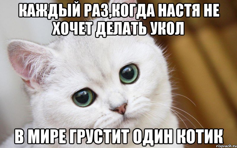 КАЖДЫЙ РАЗ,КОГДА НАСТЯ НЕ ХОЧЕТ ДЕЛАТЬ УКОЛ В МИРЕ ГРУСТИТ ОДИН КОТИК, Мем  В мире грустит один котик